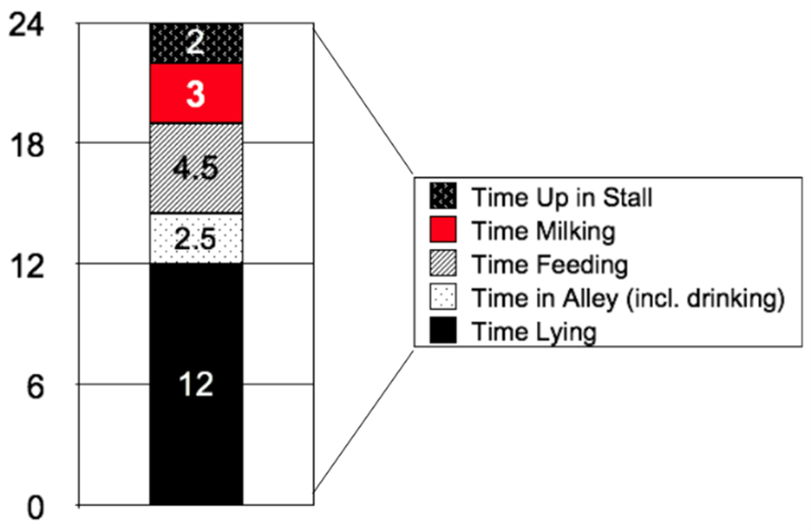 Mynd 1. Nigel B. Cook