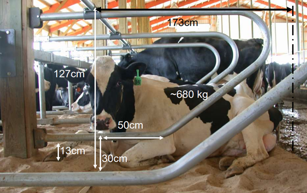 Mynd 6. Nigel B. Cook